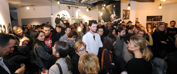 Дивљан евергрин